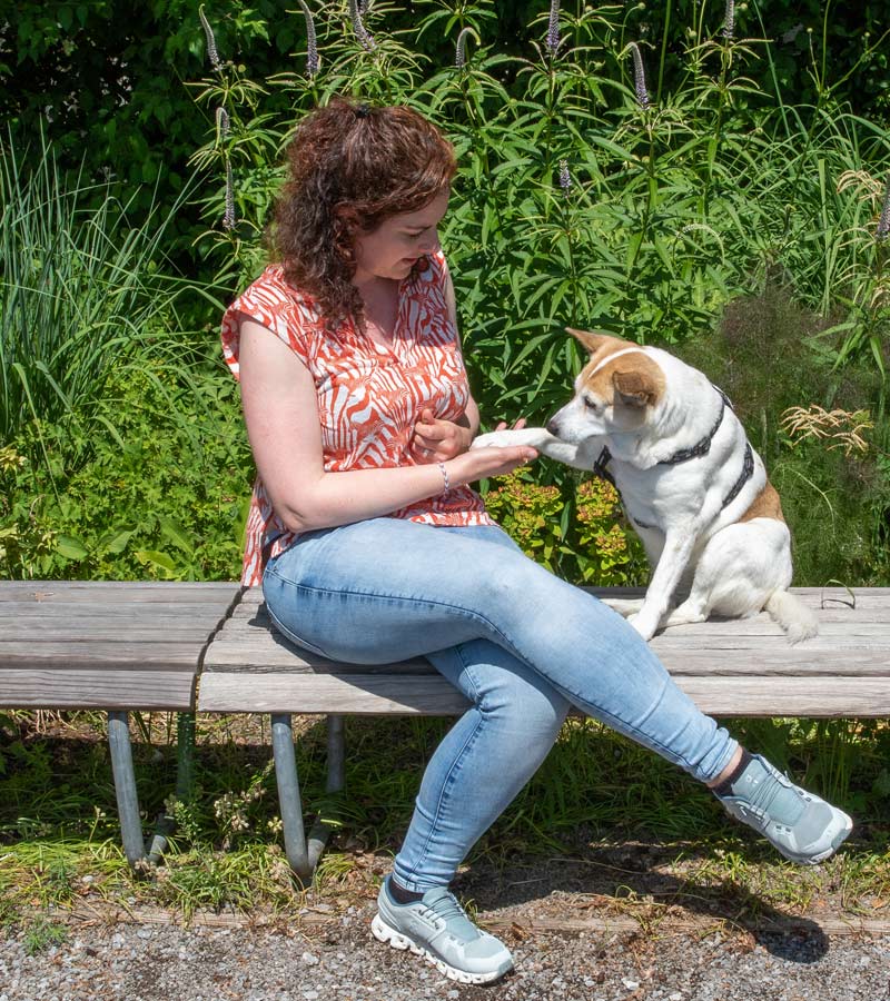 Joy gibt Angela das Pfötchen, Hundebetreuung Wädenswil