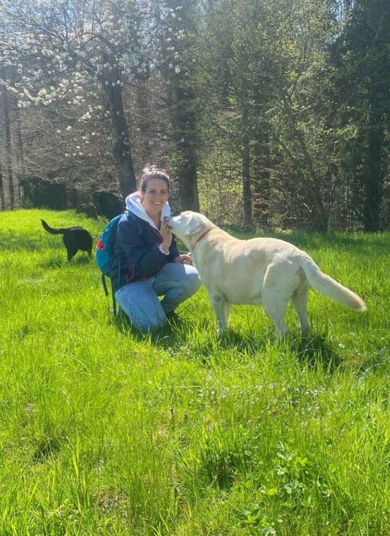 Angela von Fureverjoy Hundebetreuung in Wädenswil am Spazieren mit Hütehunden